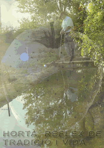 Pòster on es veu un pagès regant el seu hort. Aquesta imatge es veu reflectida a l’aigua de reg. També es veu el dibuix d’una poma sobre la imatge esmentada. Aquesta és molt transparent i permet que es vegin les dues alhora. A la part inferior del pòster s’hi llegeix “L’Horta, reflex de tradició i vida”.